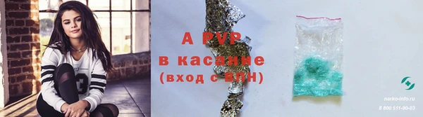 стаф Абинск