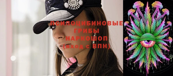 стаф Абинск