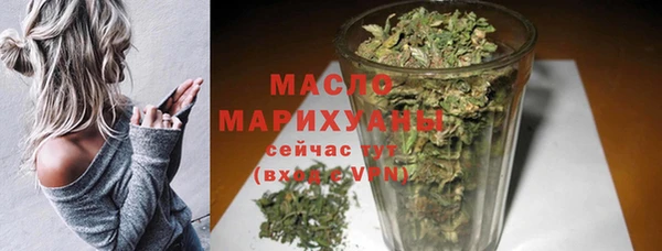 ECSTASY Бородино
